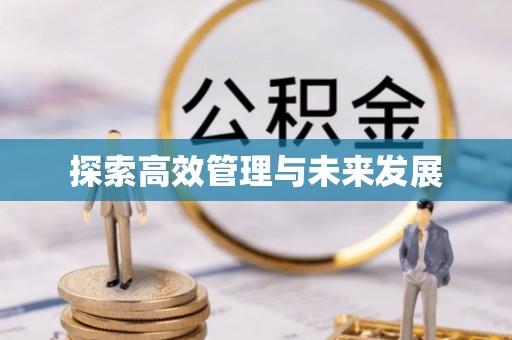 七美探索高效管理与未来发展