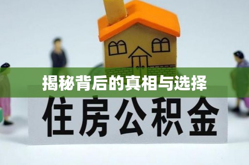 七美揭秘背后的真相与选择