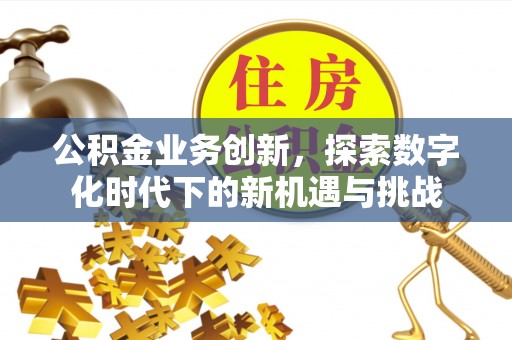 七美公积金业务创新，探索数字化时代下的新机遇与挑战