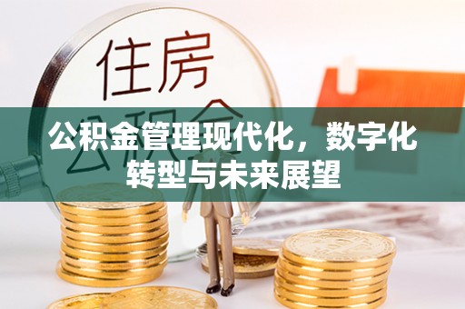 七美公积金管理现代化，数字化转型与未来展望