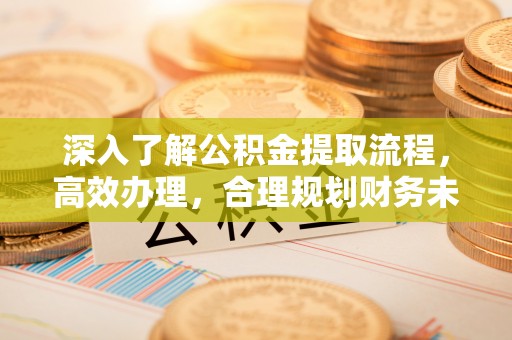 七美深入了解公积金提取流程，高效办理，合理规划财务未来
