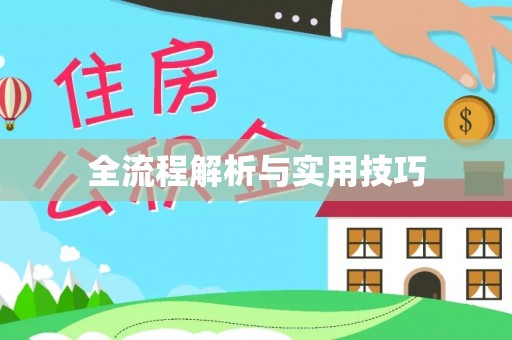 七美全流程解析与实用技巧