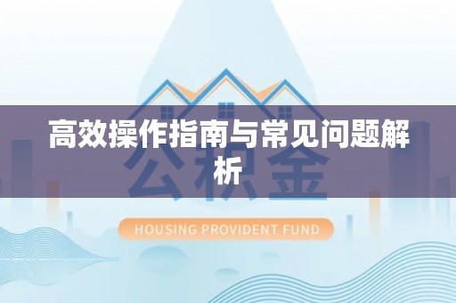 七美高效操作指南与常见问题解析