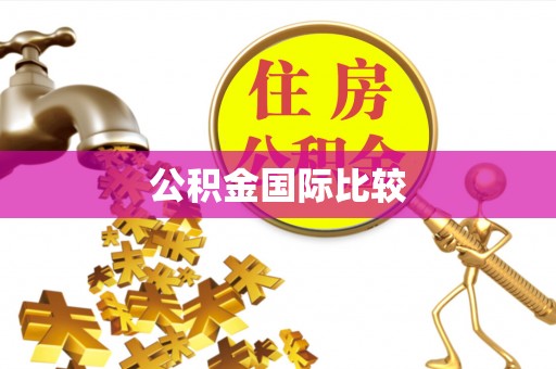 七美公积金国际比较