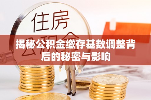 七美揭秘公积金缴存基数调整背后的秘密与影响