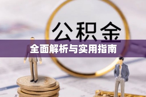 七美全面解析与实用指南