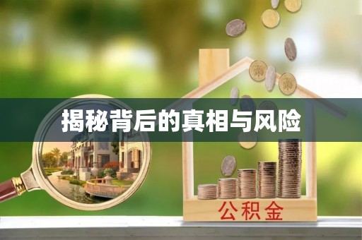 七美揭秘背后的真相与风险