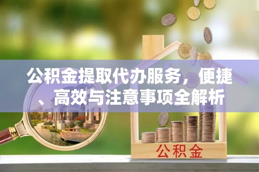 七美公积金提取代办服务，便捷、高效与注意事项全解析