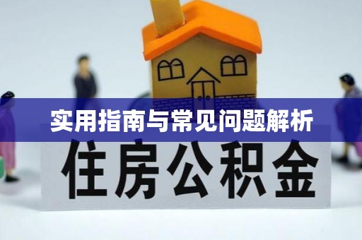 七美实用指南与常见问题解析