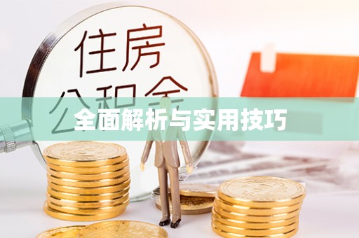七美全面解析与实用技巧