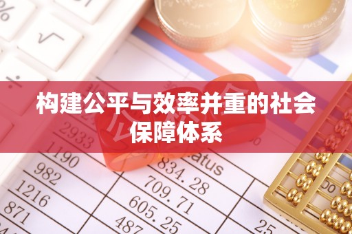 七美构建公平与效率并重的社会保障体系