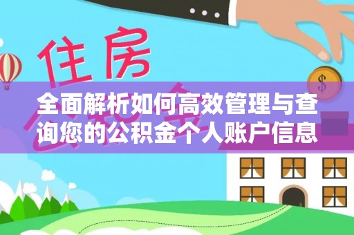 七美全面解析如何高效管理与查询您的公积金个人账户信息