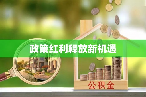 七美政策红利释放新机遇