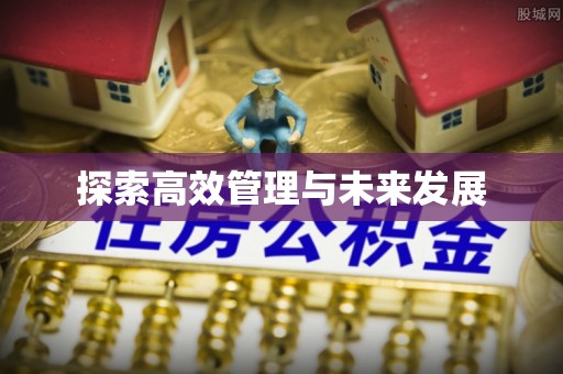 七美探索高效管理与未来发展