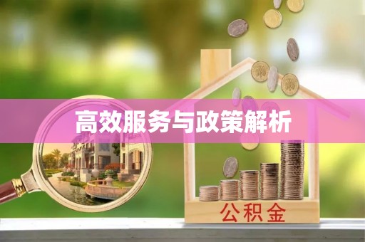 七美高效服务与政策解析