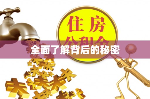 七美全面了解背后的秘密