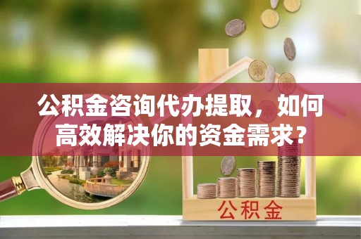 七美公积金咨询代办提取，如何高效解决你的资金需求？