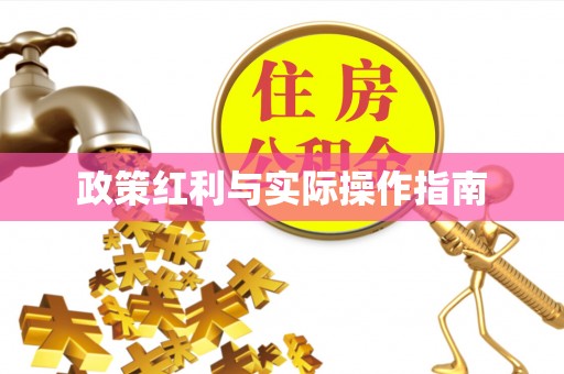 七美政策红利与实际操作指南