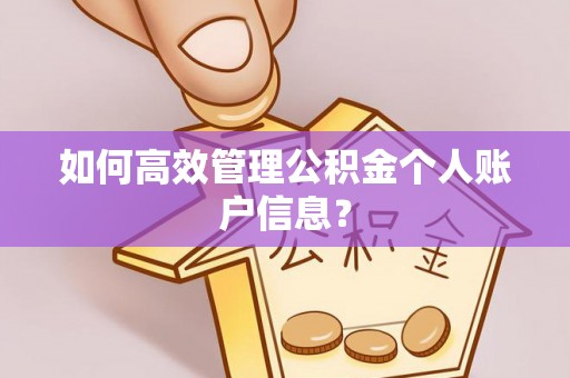 七美如何高效管理公积金个人账户信息？
