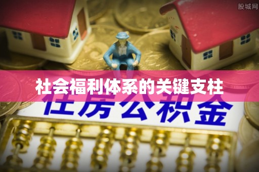七美社会福利体系的关键支柱