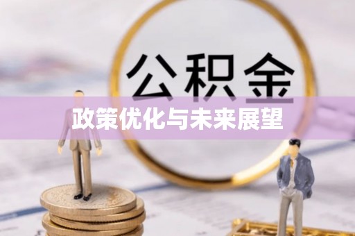 七美政策优化与未来展望