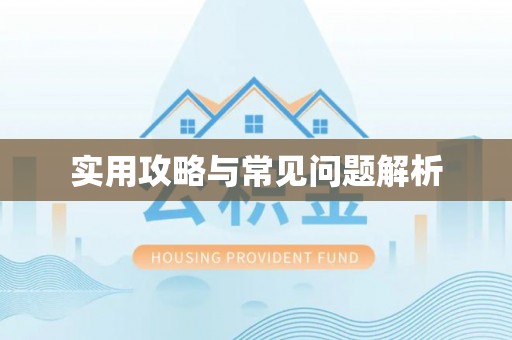 七美实用攻略与常见问题解析