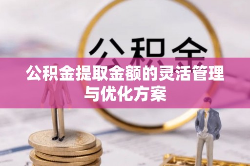 七美公积金提取金额的灵活管理与优化方案