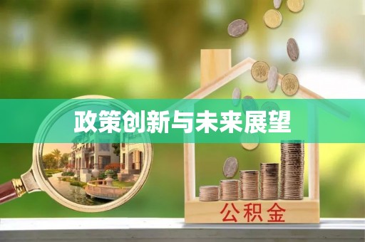 七美政策创新与未来展望