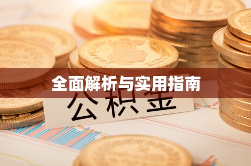 七美全面解析与实用指南