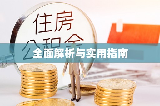 七美全面解析与实用指南