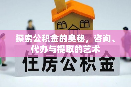 七美探索公积金的奥秘，咨询、代办与提取的艺术